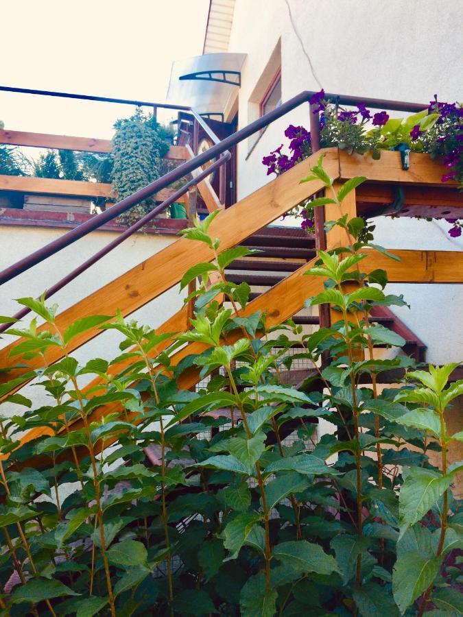Apartament Delux Z Tarasem Lägenhet Sierpc Exteriör bild